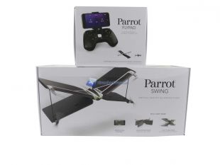 Parrot-Swing-6